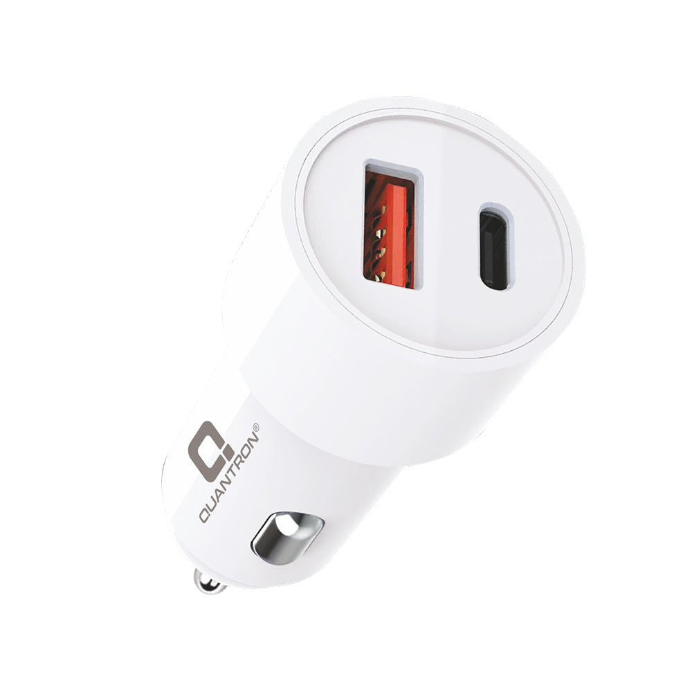 QUANTRON CHARGER QCH 453